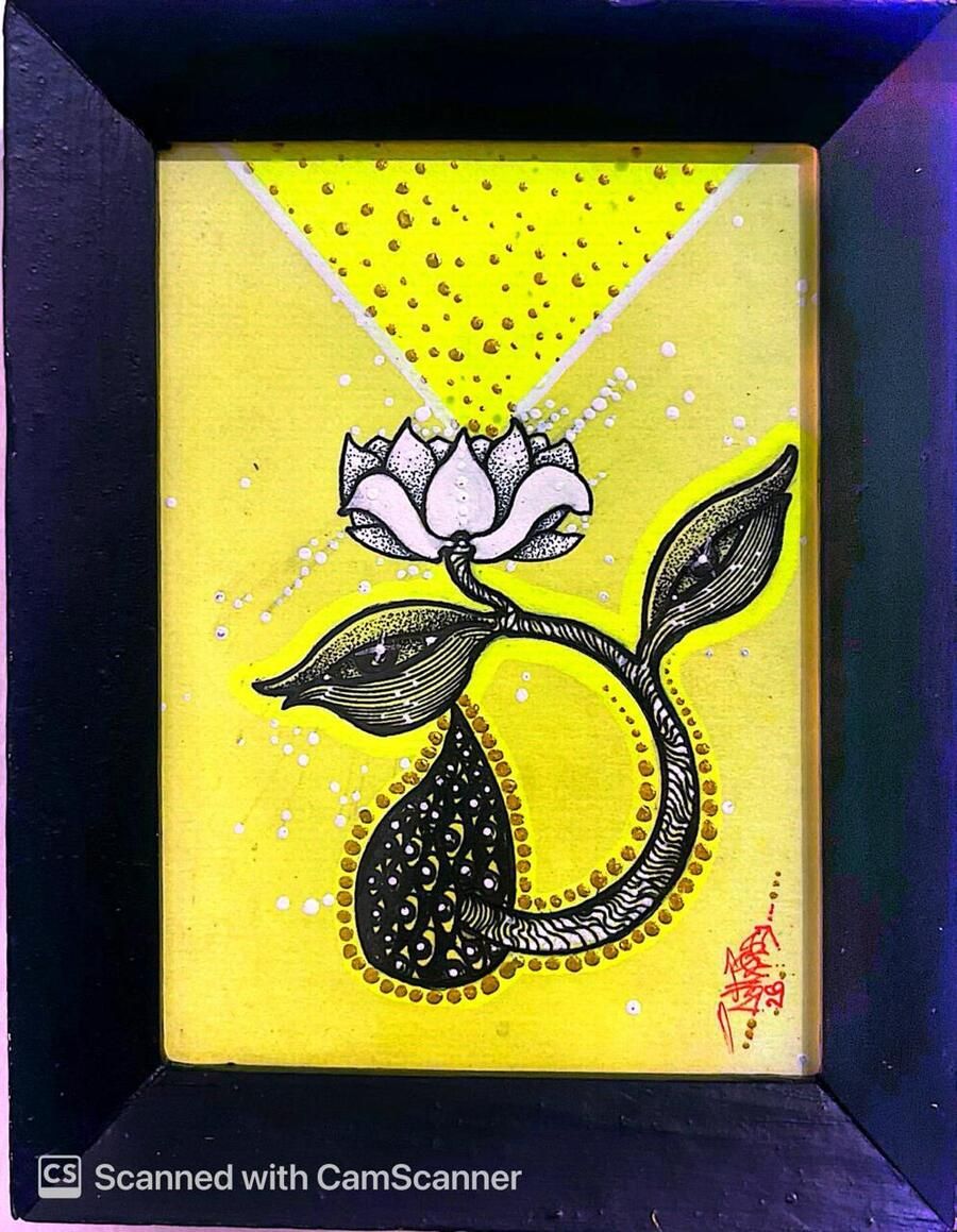 Creative Seeds (Lights)